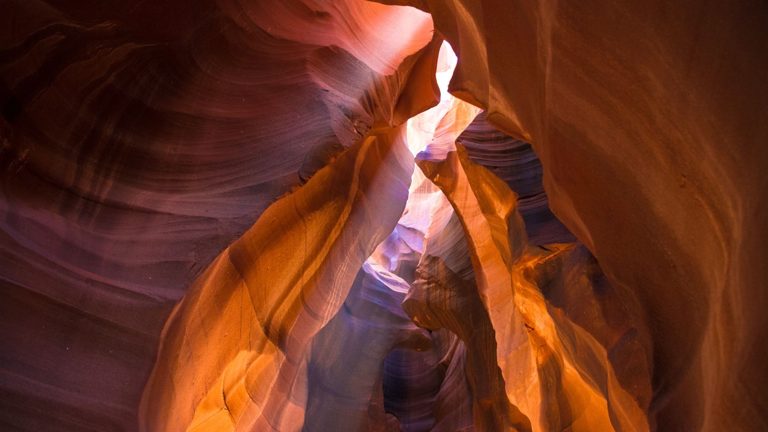 Second Image